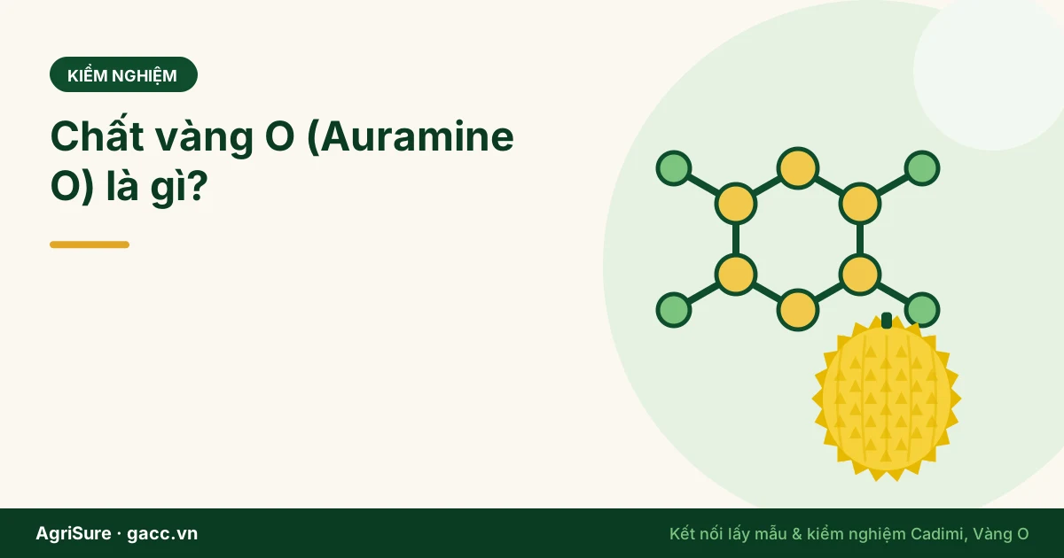 Chất vàng O (Auramine O) là gì? Vì sao sầu riêng xuất khẩu phải có phiếu kiểm nghiệm vàng O