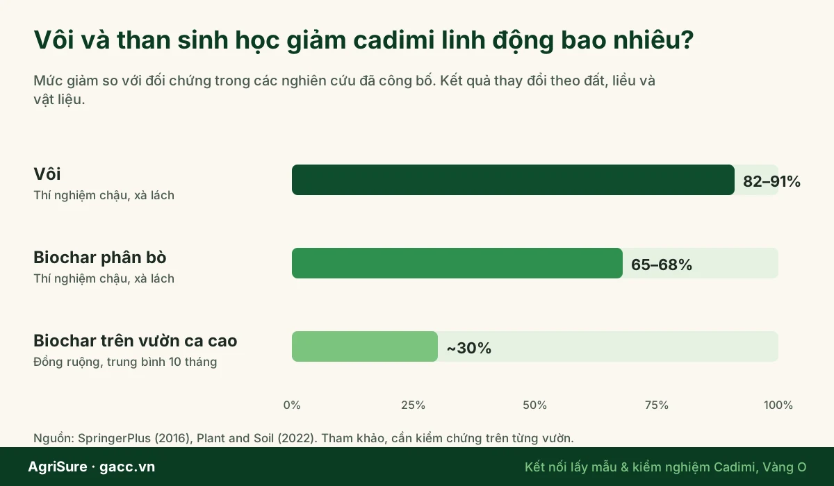 Hiệu quả giảm cadimi linh động trong đất của vôi và than sinh học theo các nghiên cứu đã công bố