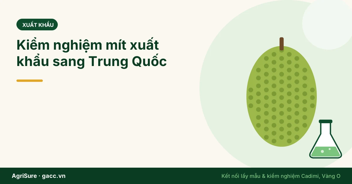 Kiểm nghiệm mít xuất khẩu sang Trung Quốc: Cadimi, Vàng O và những điều nhà vườn hay bỏ sót