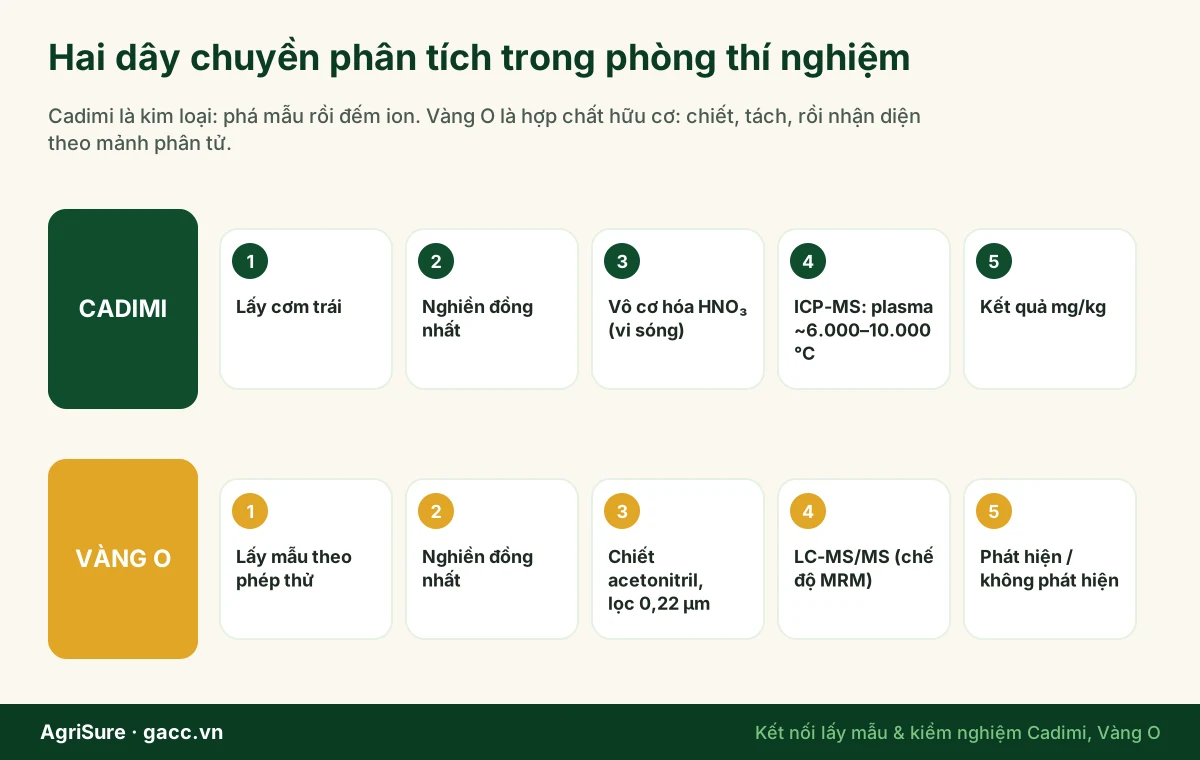 Quy trình phân tích trong phòng thí nghiệm: cadimi qua vô cơ hóa và ICP-MS, vàng O qua chiết acetonitril và LC-MS/MS