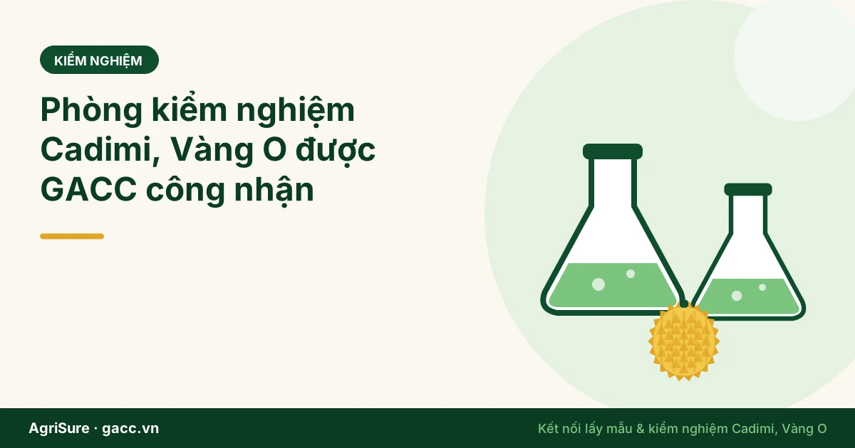 Phòng kiểm nghiệm Cadimi, Vàng O có tên trong danh sách: số lượng 2026 và cách chọn đúng đơn vị