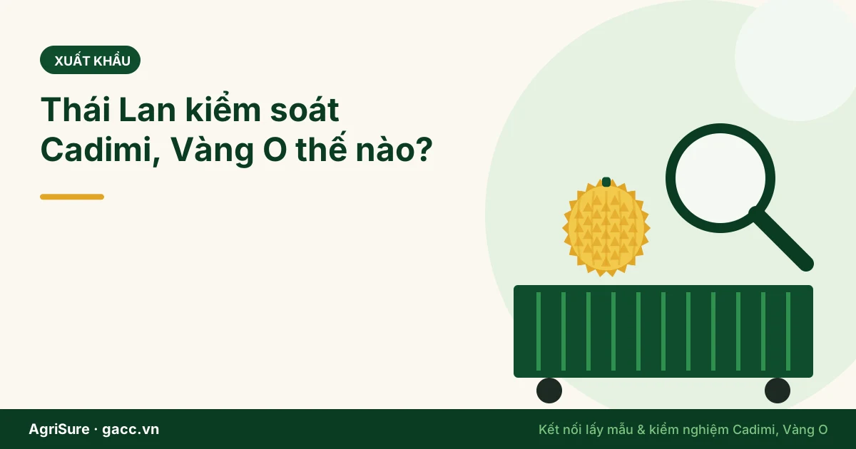 Thái Lan kiểm soát Cadimi, Vàng O trên sầu riêng thế nào? 4 bài học cho Việt Nam