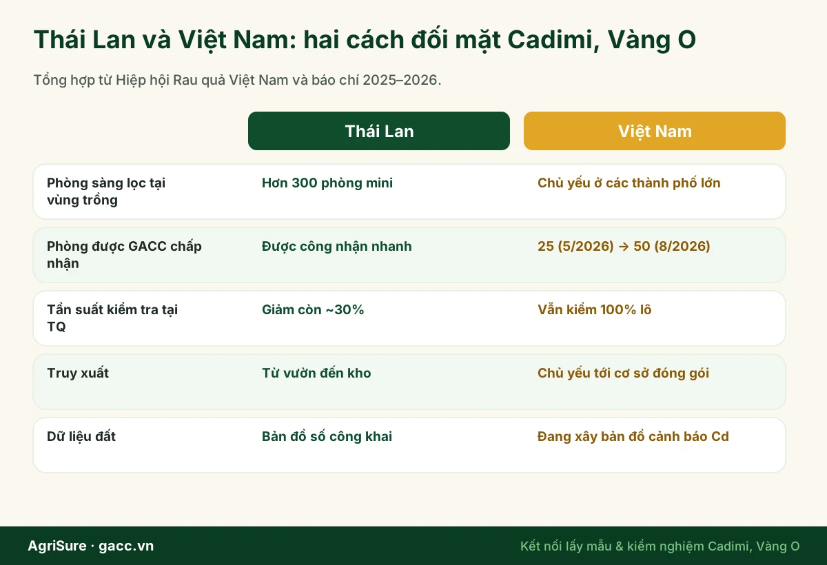 So sánh Thái Lan và Việt Nam trong kiểm soát cadimi và vàng O sầu riêng: phòng kiểm nghiệm mini, tần suất kiểm tra, truy xuất