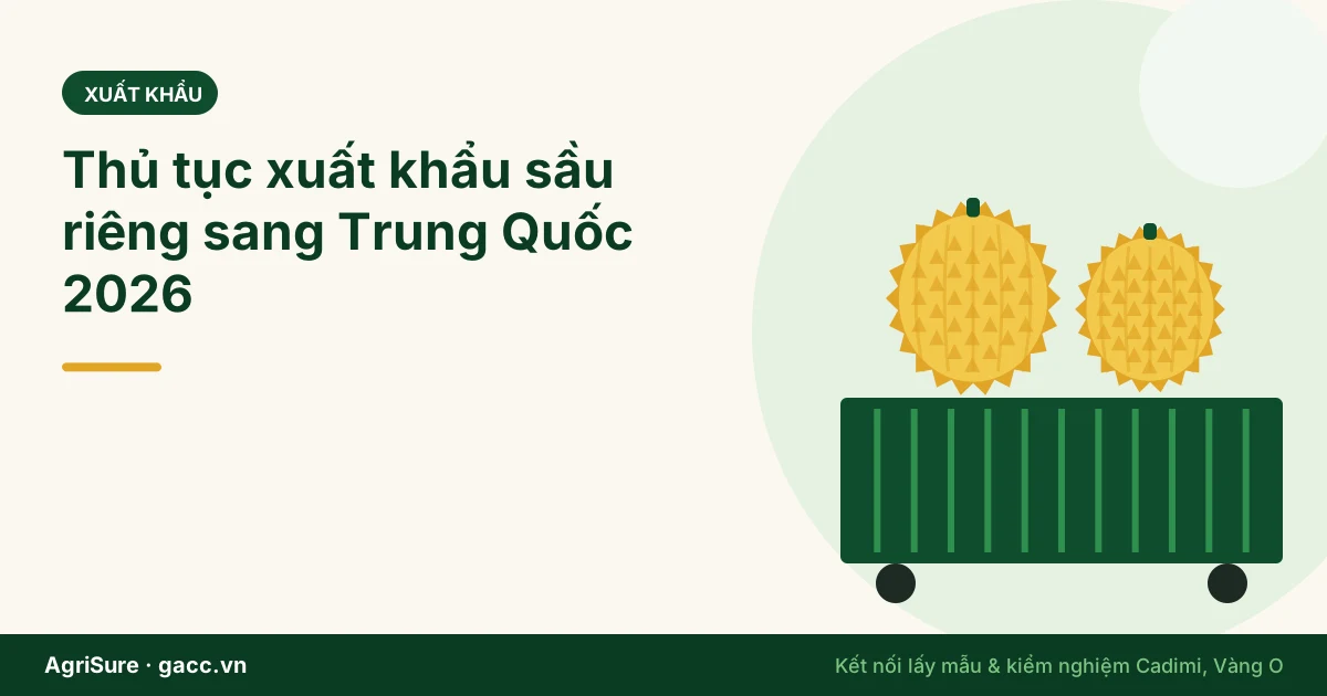 Thủ tục xuất khẩu sầu riêng sang Trung Quốc 2026: 4 lớp giấy tờ từ vườn đến cửa khẩu